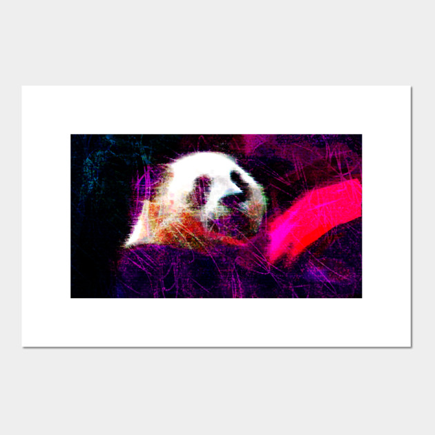 PandaPanda